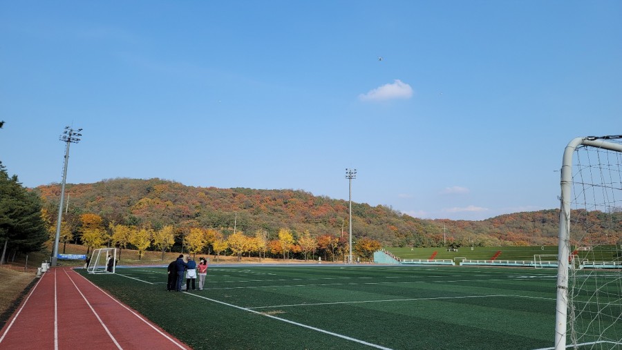 ff2a173919d64df332c69282800eba40_1635896985_42.jpg